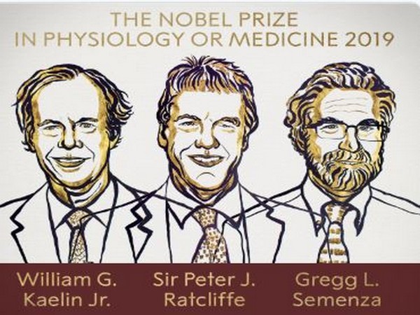 Nobel prize winners in Physiology or Medicine for the year 2019. (Photo courtesy: The Nobel Prize twitter handle)