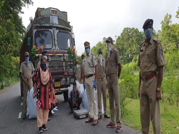 Over 1,000 kg of ganja was seized by police and two persons arrested in Gajapati district. (Photo/ANI)