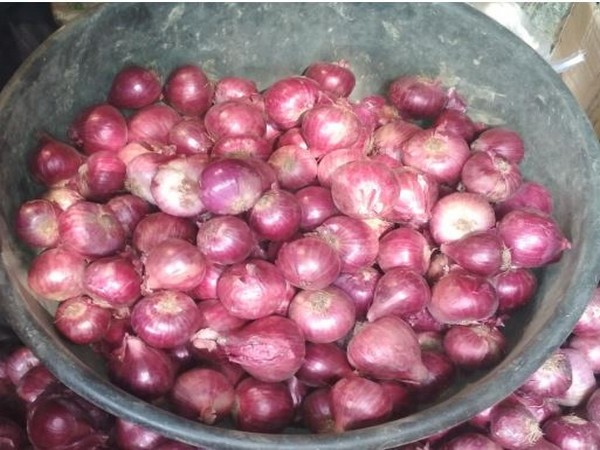 Onion price surge in Odisha due to shortage in the state. Photo/ANI