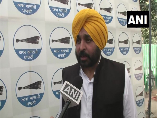 AAP MP Bhagwant Mann (File Photo)