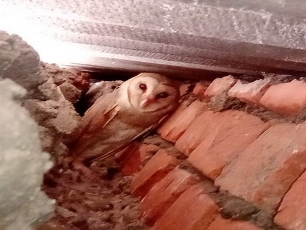 Image Source: Twitter handle @moefcc