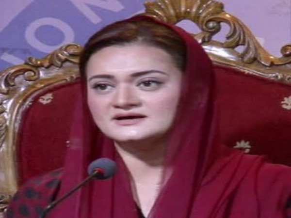 Minister for Information and Broadcasting of Pakistan, Marriyum Aurangzeb (file photo)