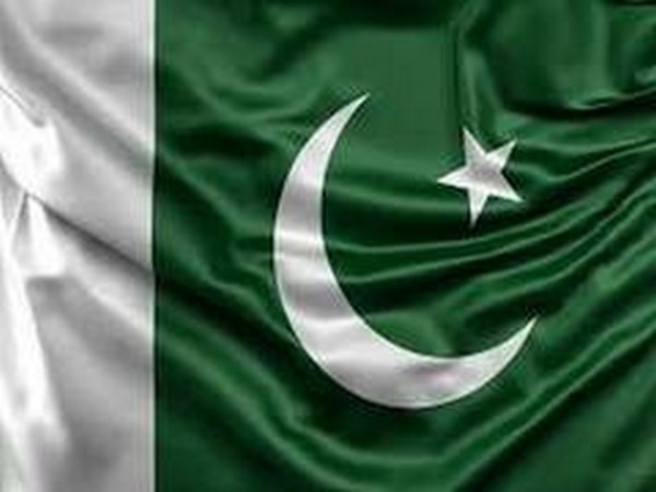 Pakistani flag 