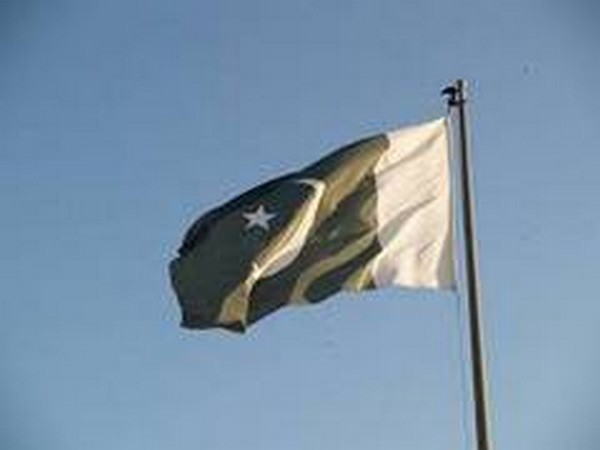 Pakistan flag 