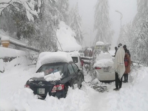 People stand next to cars stuck under fallen trees on a snowy road, in Murree, northeast of Islamabad, Pakistan. (Image credit: Reuters)