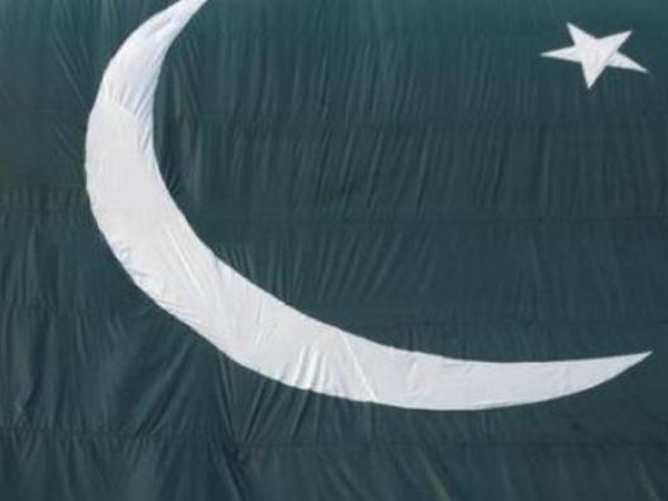 Flag of Pakistan (representative image)