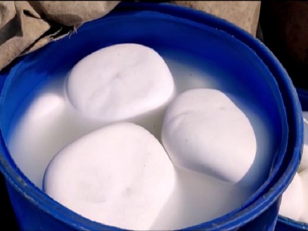 5 ton adulterated paneer seized in Gautam Buddha Nagar on Sunday. Photo/ANI