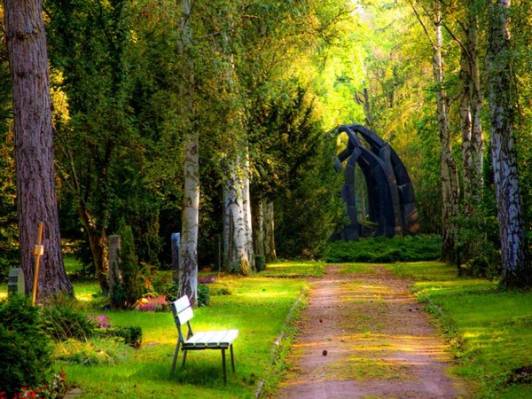 Representative Image (Photo/ANI)