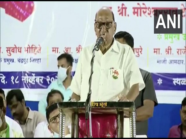 NCP chief Sharad Pawar (Photo/ ANI)