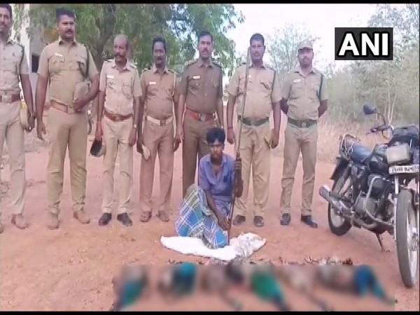 Peacock hunter arrested by police