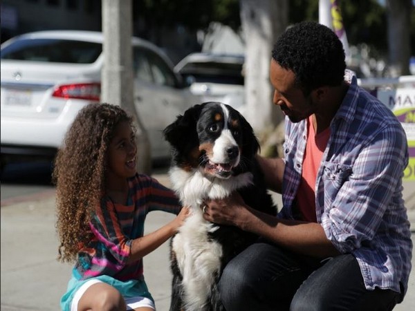 Pet-friendly hotels and things to do in Santa Monica.