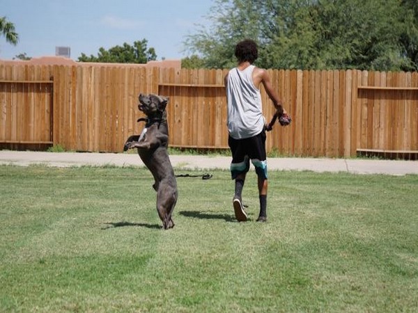 Most of the pet-owners are convinced of the blessings their fur babies bring to their lives.