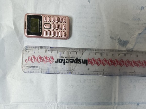 Phone swallowed by  Tihar jail inmateentative Image