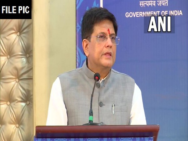 Union Commerce and Industry Minister Piyush Goyal (File Photo)
