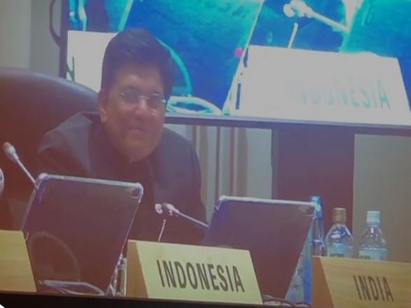 Union Minister for Commerce and Industry, Piyush Goyal, speaking at G20 ministerial meeting on Trade and Digital Economy in Japan on Sunday