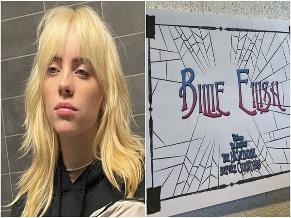 Billie Eilish (Image source: Instagram)