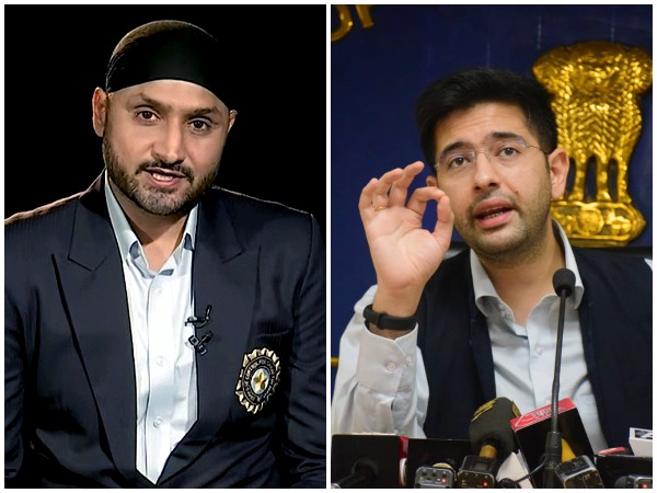 Former cricketer Harbhajan Singh and Delhi MLA Raghav Chadha (File Photos)