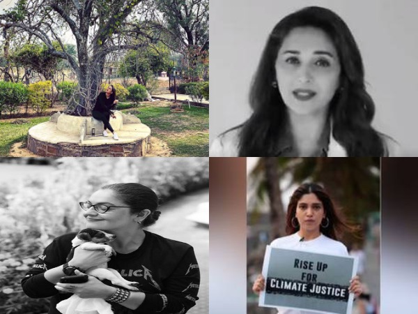 Bollywood actors Sonakshi Sinha, Madhuri Dixit Nene, Pooja Bhatt and Bhumi Pednekar (Image Source: Social Media)