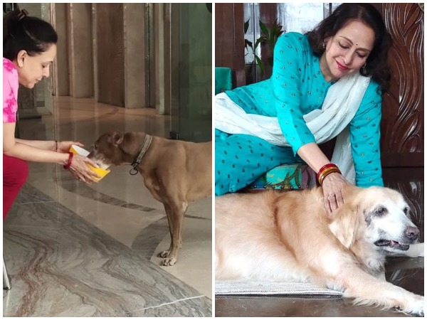 Evergreen actor Hema Malini with her pets -- Snoopy and Gipsy (Image courtesy: Twitter) 