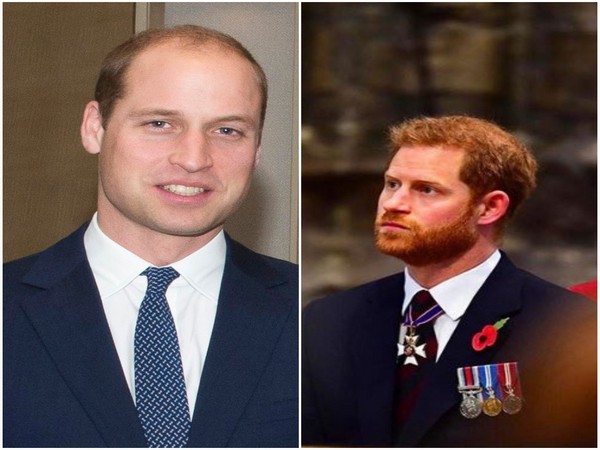Prince William and Prince Harry