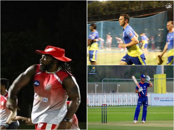 Chris Gayle, Josh Hazlewood and Chris Lynn 