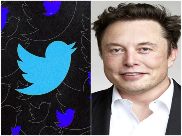 Twitter logo and Elon Musk (Image source: Instagram)