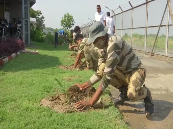 CISF personnel planting saplings at Amritsar airport on Sunday. [Photo/ANI]