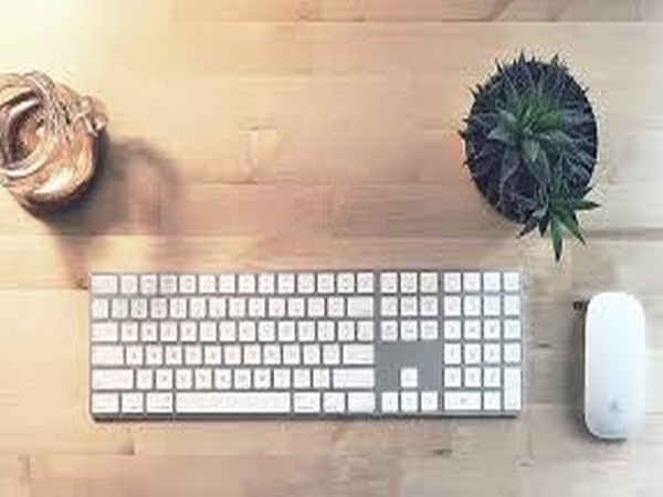 It is a well-known fact that plant life often brings mental peace.