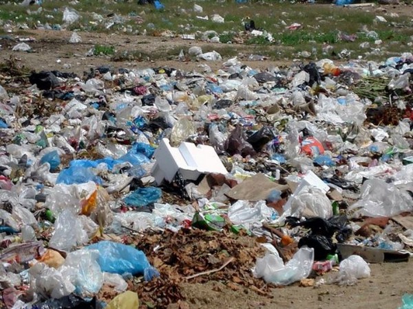 Representative image. 