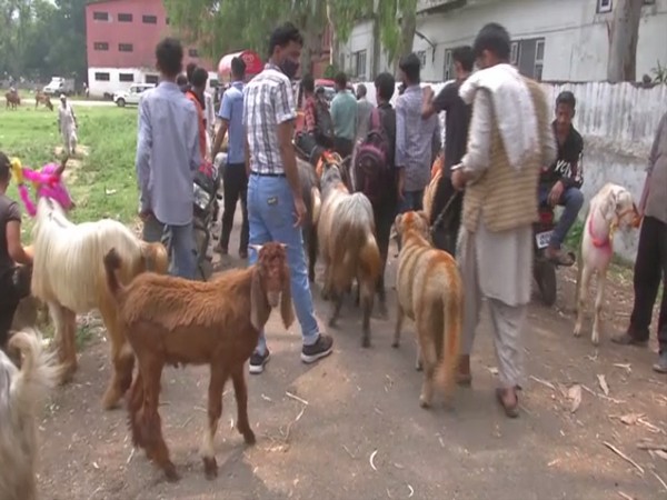 People at the Poonch goart market set up ahead of Eid-ul-Azha.