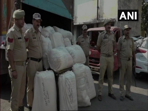 Visual of the seized poppy straw in Kathua, Jammu and Kashmir.