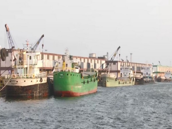 Ships at Kolkata's Syama Prasad Mukherjee Port. (ANI/photo)