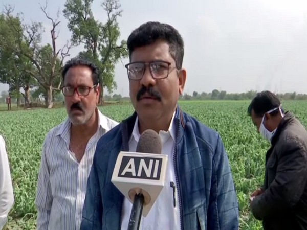 Pankaj Lokhande, agriculture department official (Photo/ANI)