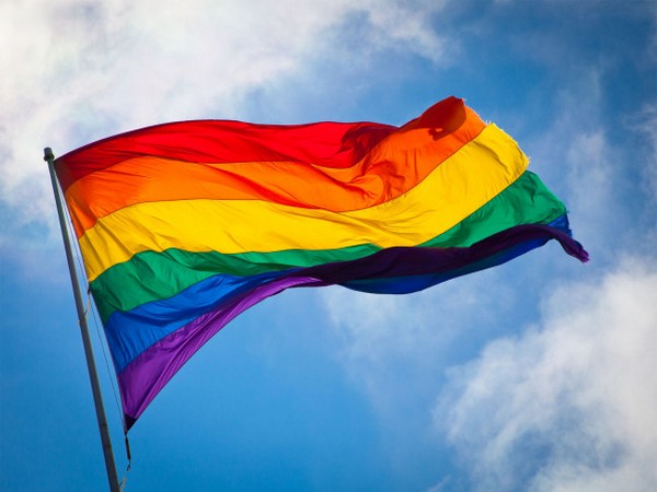 The rainbow colour Pride flag