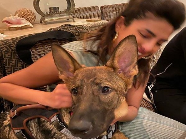 Here's why PeeCee is not on Snapchat