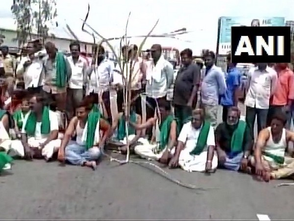 Karnataka farmers blocked Bengaluru-Mysuru highway in Mandya on Wednesday. (Photo: ANI)