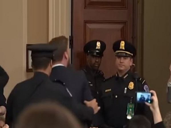 Pro-Trump protestor being escorted by security during House hearing