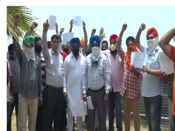 Protesting cab drivers in Ludhiana, Punjab, on Saturday. Photo/ANI
