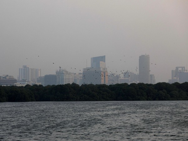 Representative Image