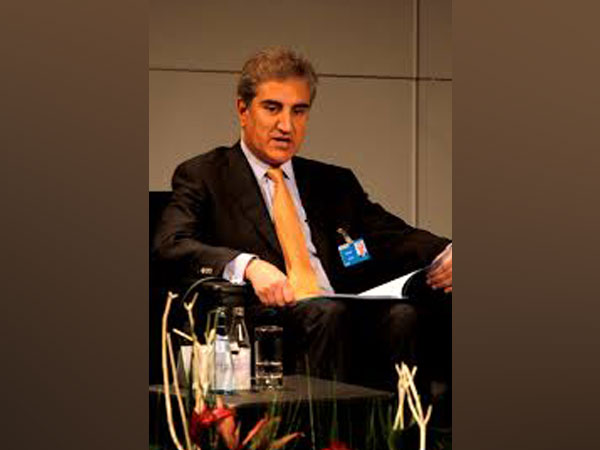 Pakistan Foreign Minister Shah Mahmood Qureshi (File Photo)