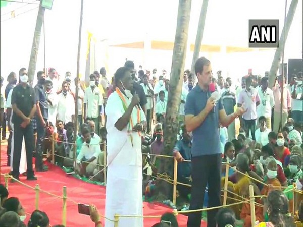 Congress leader Rahul Gandhi in Puducherry on Wednesday. Photo/ANI
