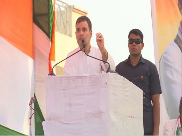Congress leader Rahul Gandhi addressing an election rally in Nuh, Haryana on Monday. Photo/ANI