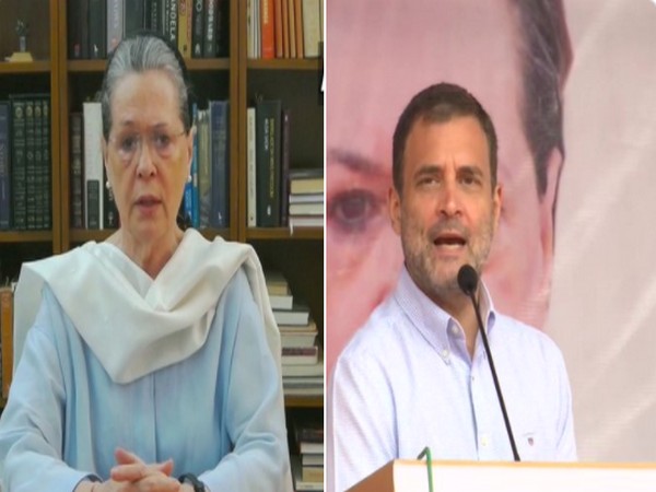 Congress interim president Sonia Gandhi and party leader Rahul Gandhi (File Photo)