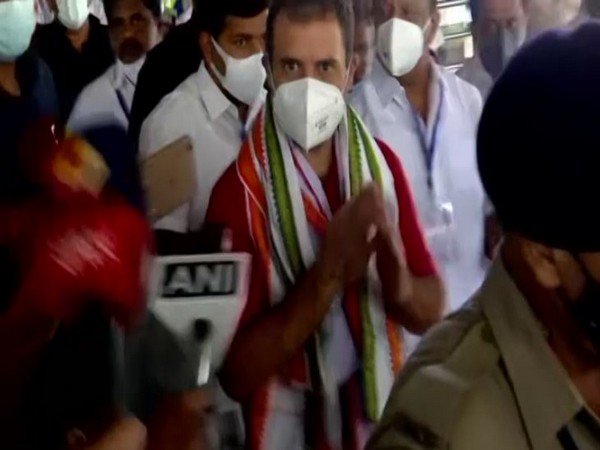 Congress leader Rahul Gandhi arrives at Kozhikode Airport. (Photo/ ANI)