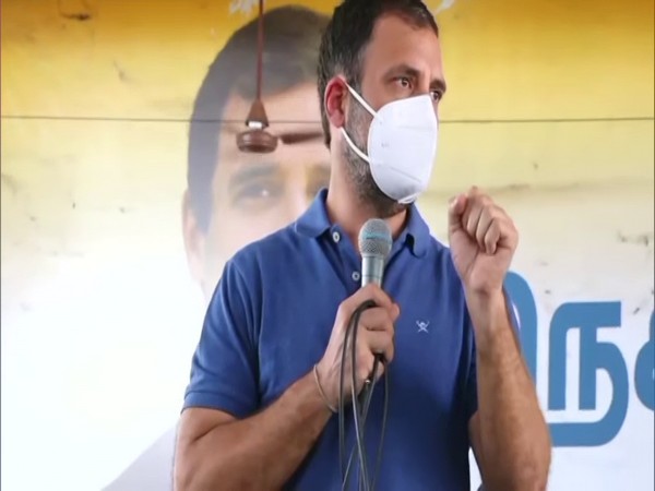 Congress Leader Rahul Gandhi (File Photo/ANI)