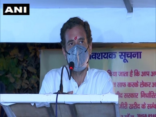 Congress leader Rahul Gandhi addressing public gathering in Kurukshetra on Tuesday. (Photo/ANI)