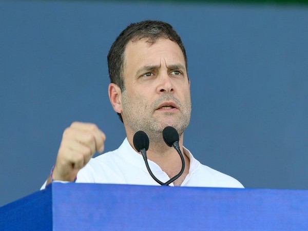 Congress president Rahul Gandhi 