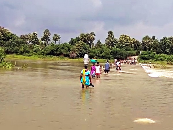 Representative Image