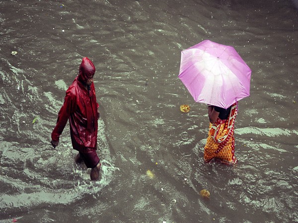 Represenatative Image