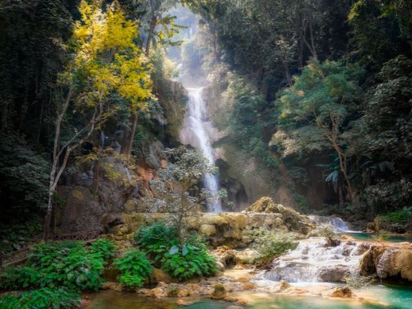 Representative image